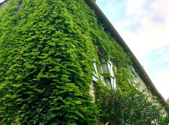 Bed and breakfast La Borde