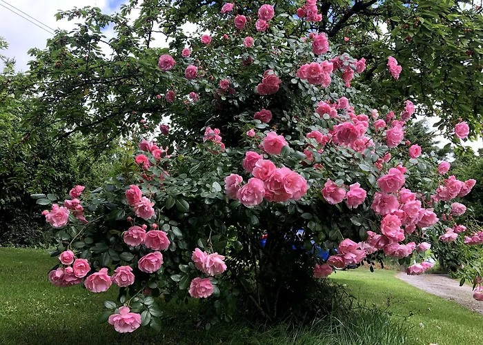 La Borde Frühstückspension *